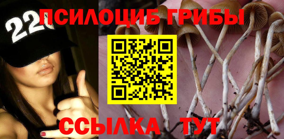 Галлюциногенные грибы мицелий Нягань