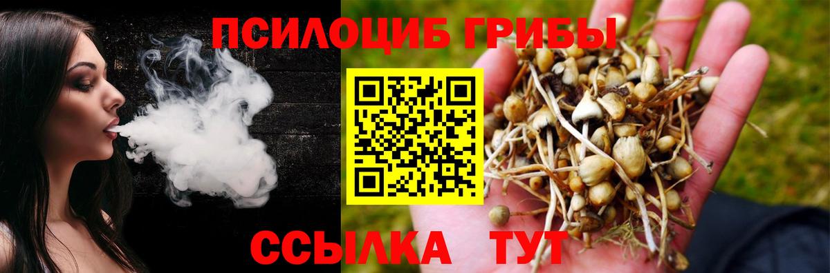 Галлюциногенные грибы Psilocybe  Вход с VPN  Нягань 